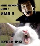 Павел Кушнаренко | Москва