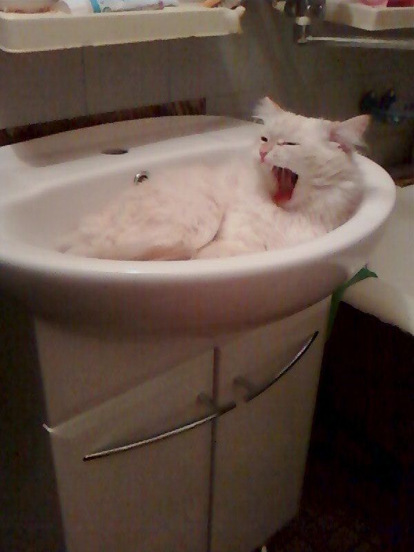 Катерина Чуваева | Великие Луки