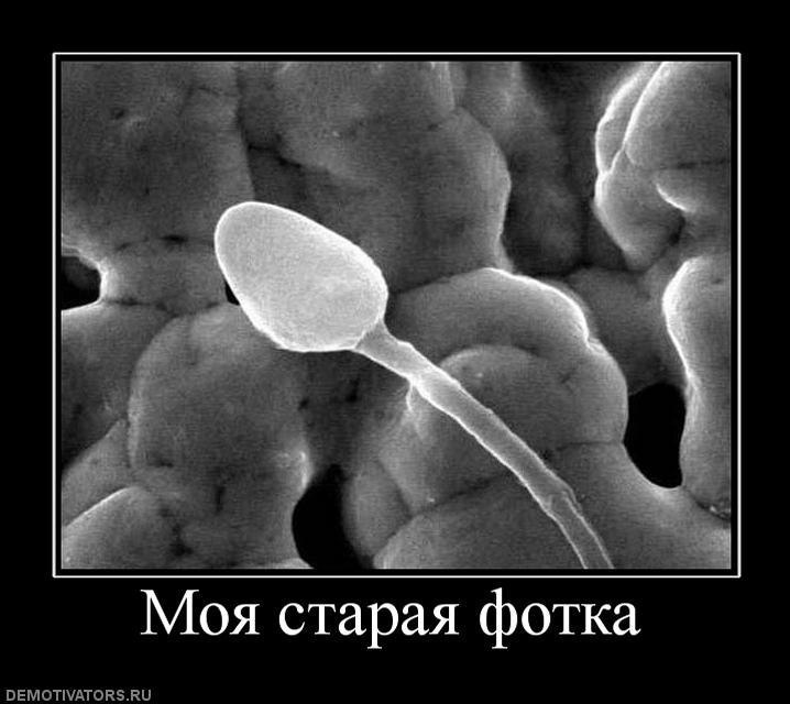 Серёжа Ш. @fonya | Омск