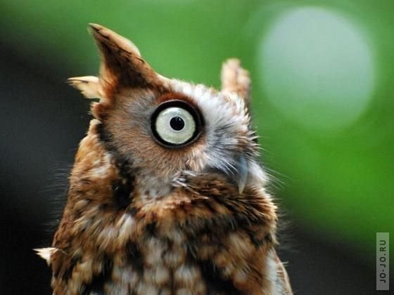 Roman Merkulov | Новороссийск