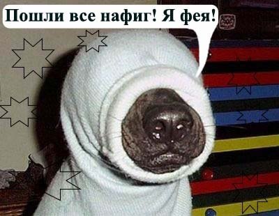 №11, Маришечка Зацепина, Одесса №11, Маришечка Зацепина, Одесса