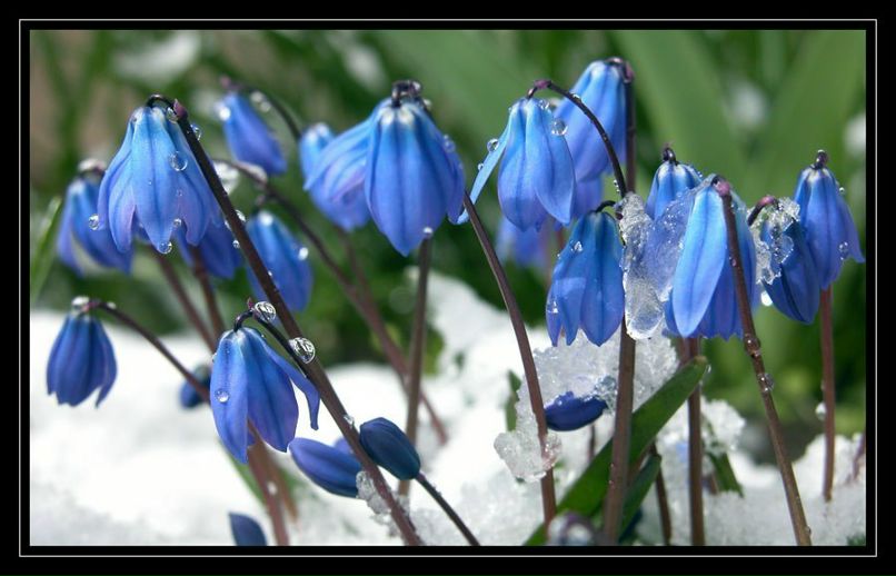 Ольга Шилова | Петрозаводск