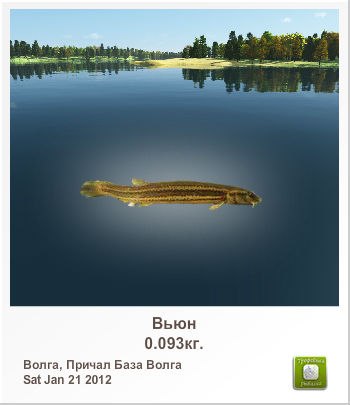 Виталий Литвинов | 