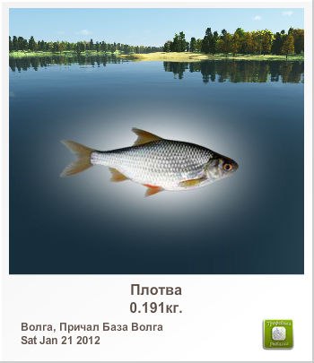 Виталий Литвинов | 