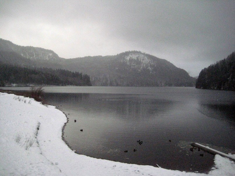 Екатерина Медведева | Санкт-Петербург