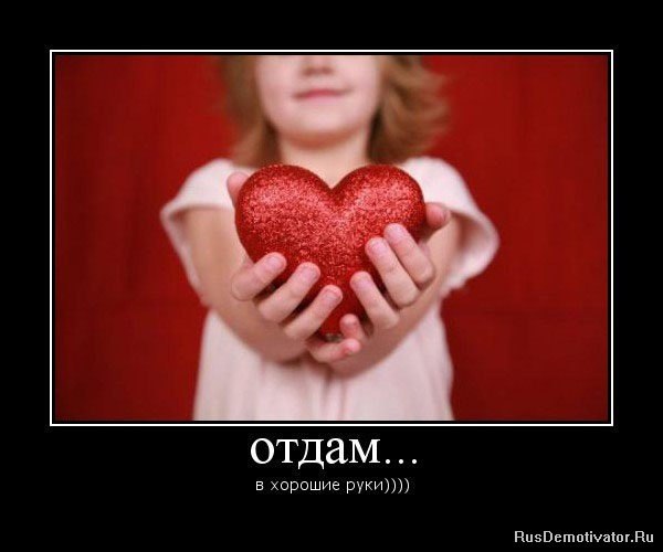 Юрий Шорохов | Киев