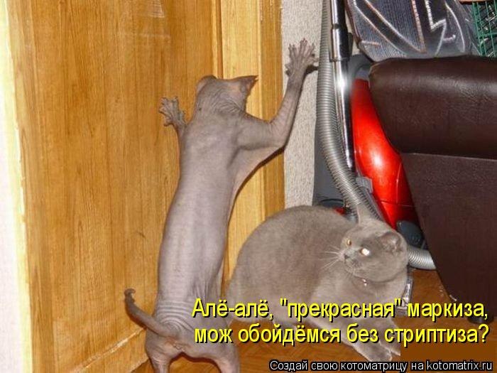 Денис Иванов | Волгоград