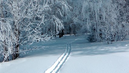 Станислав Петухов | Йошкар-Ола
