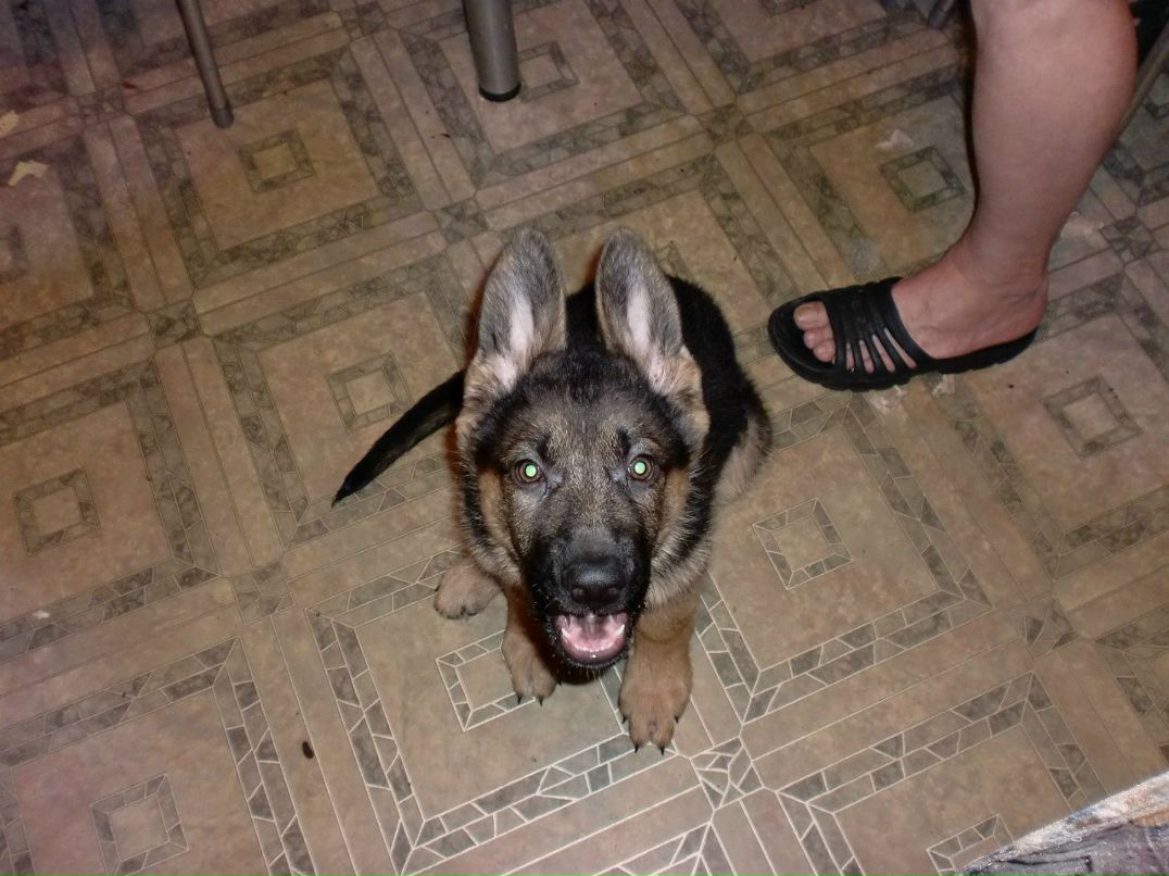 Гарик Артемьев | Санкт-Петербург