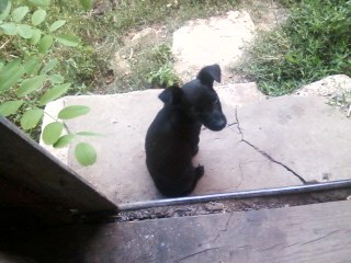 Йулька Хамутовська Ігорівна | 