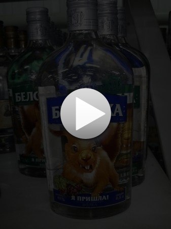 Владимир Попов | Петрозаводск