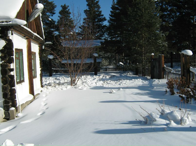 Павел Башкирцев | 