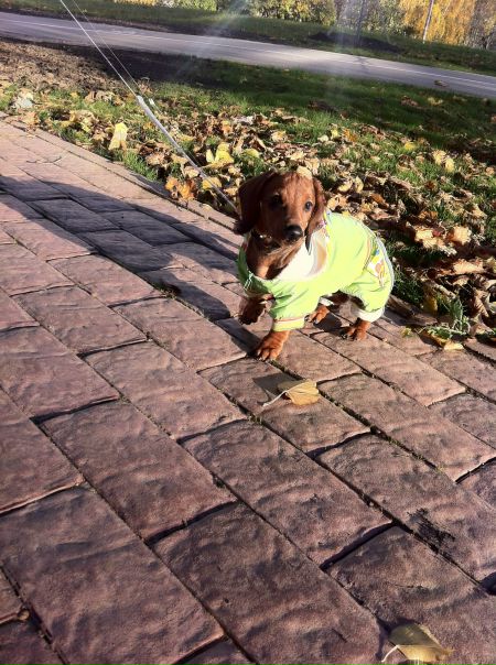 №145, Валентина Данилкина, Москва №145, Валентина Данилкина, Москва