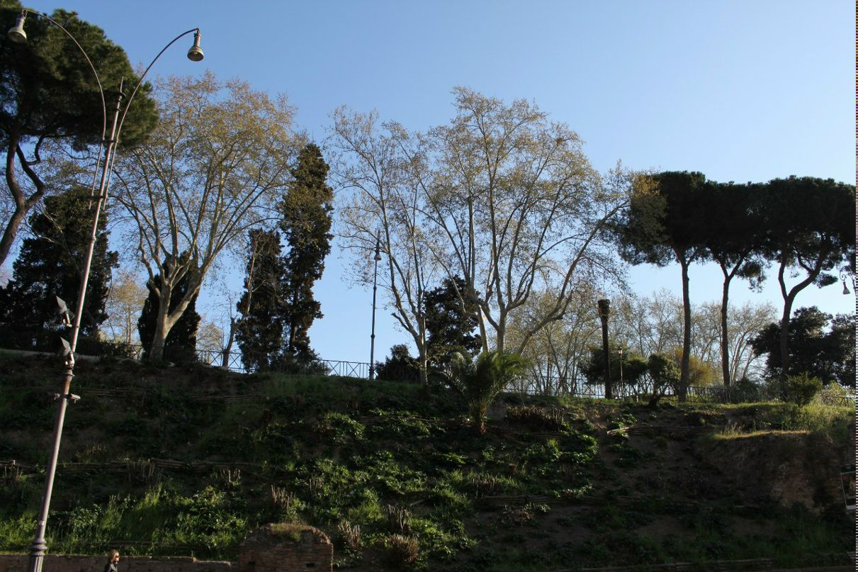 Эмилия Корсакова | Москва