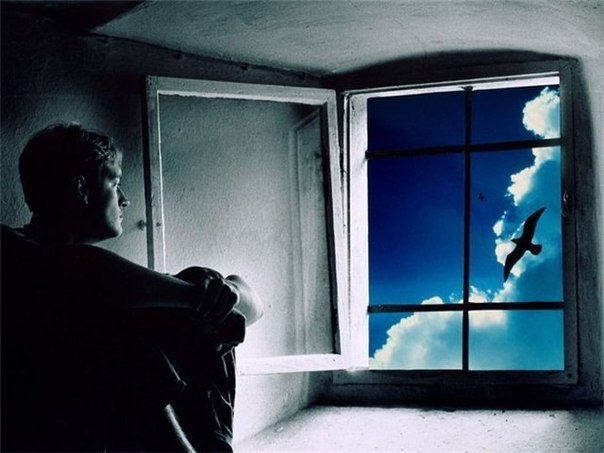 Тарас Логвиненко | Стеблев