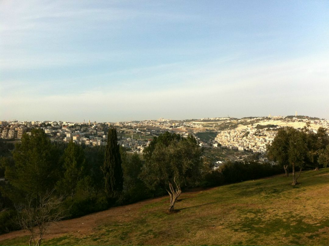 Анна Фактор | Ришон ЛеЦион