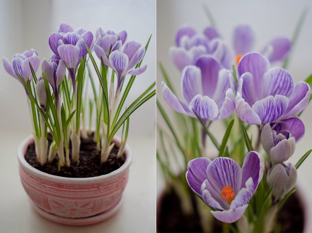 Karina Gabin | Санкт-Петербург