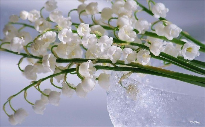 Ольга Огородова | Санкт-Петербург