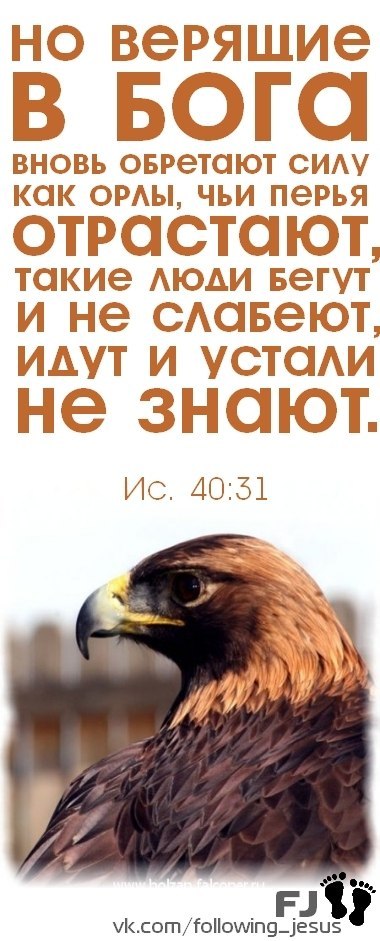 Паша Урсол | Черновцы