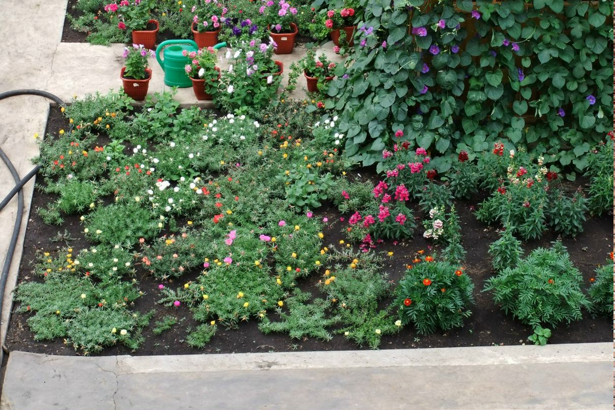 Алеся Миргаязова | Смоленск