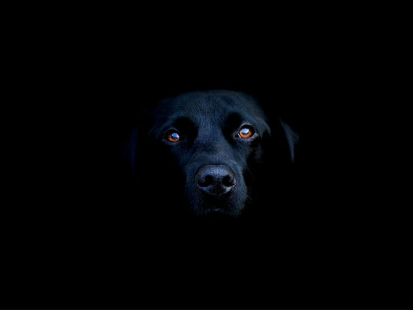 Евгений Фёдоров | Валдай