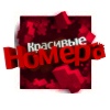 Красивые номера