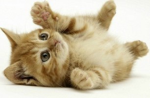 №69, Олег Гоменюк, Одесса №69, Олег Гоменюк, Одесса