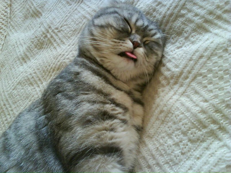 Gulnaz A.r. | Казань