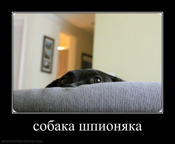 Юля Капелюшок | Киев