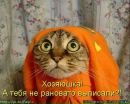 Фотография Дёма Богданов