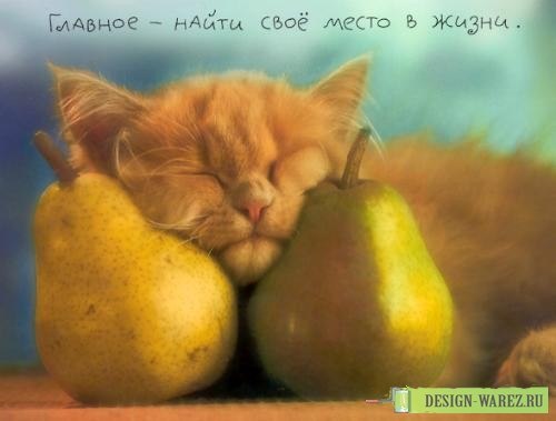 Дарья Павлова | Великий Новгород