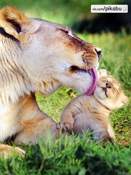 Аня Храпова | Москва