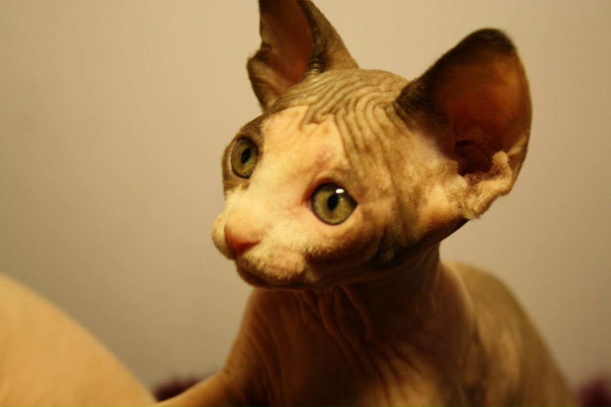 Лариса Петровская | Мурманск