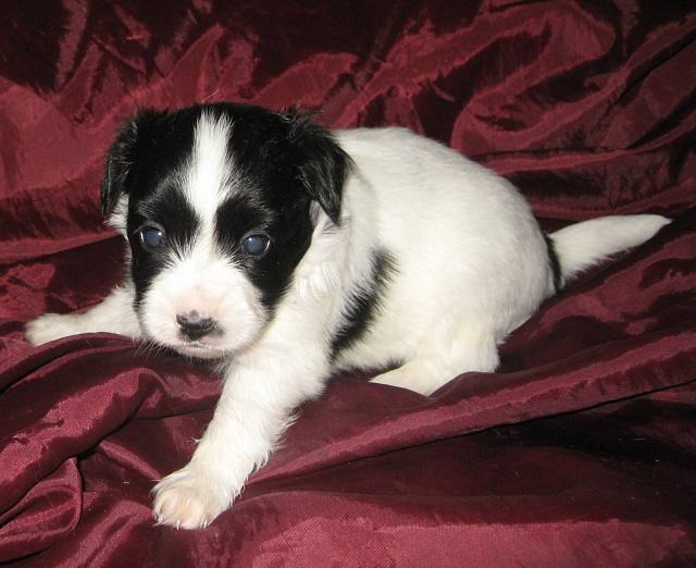 Маша Берсенева | Москва