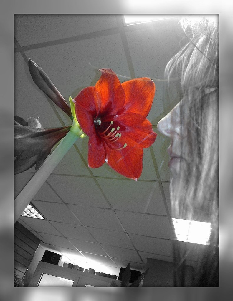 Ксения Тимофеева | Гатчина