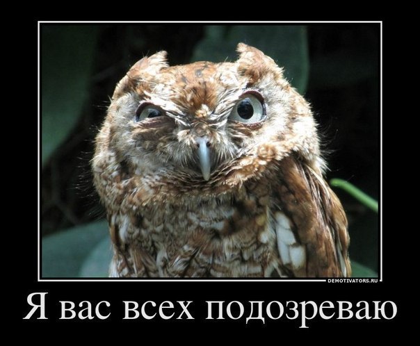 Дмитрий Лопушидзе | 