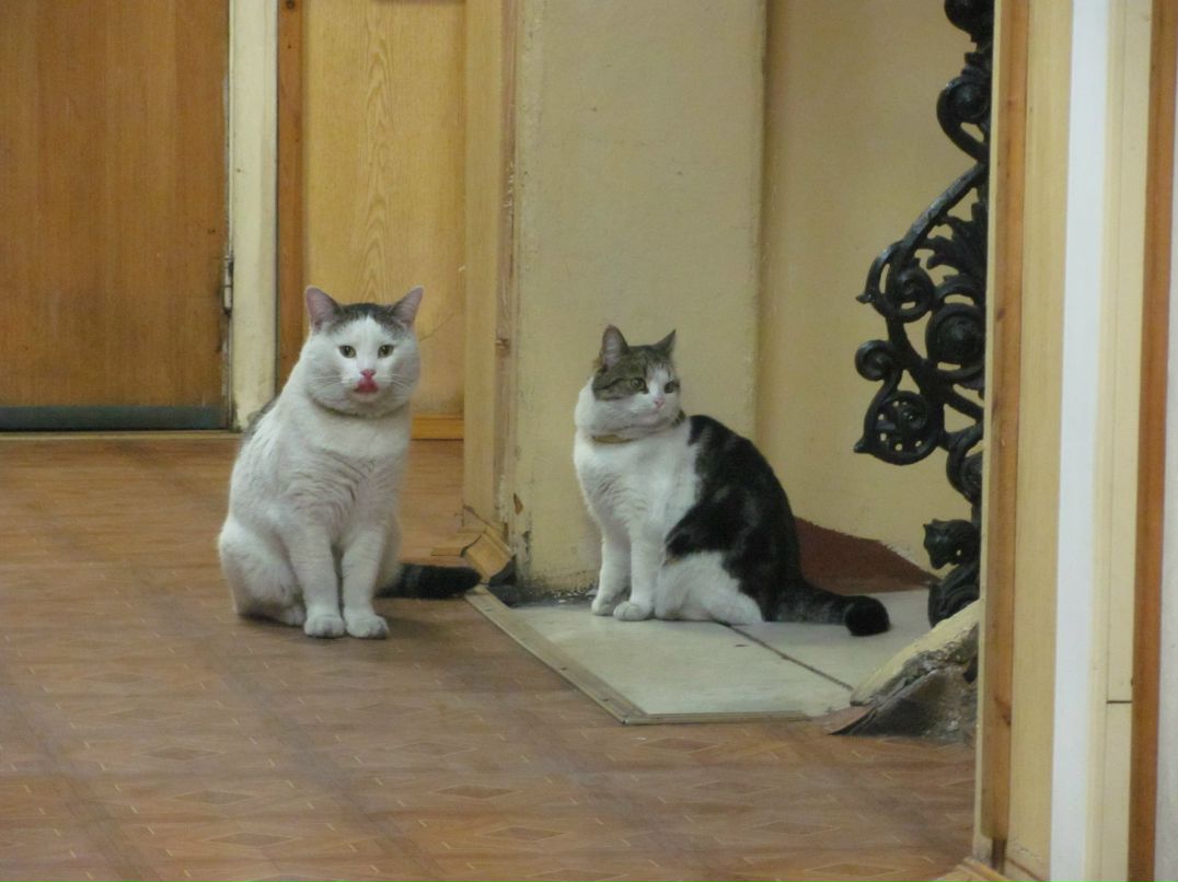 Владимир Калабушкин | Москва