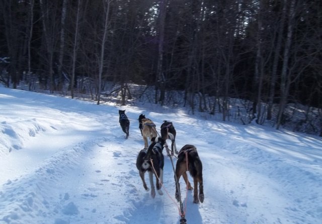 Татьяна Михайлова | Тверь