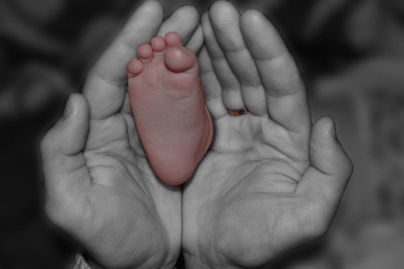 Светлана Муругова | 