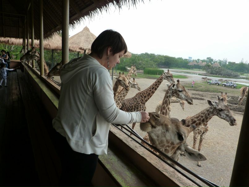 №70, Аня Сердюк №70, Аня Сердюк