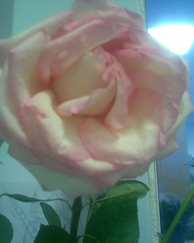 Иван Ноздрин | Архангельск