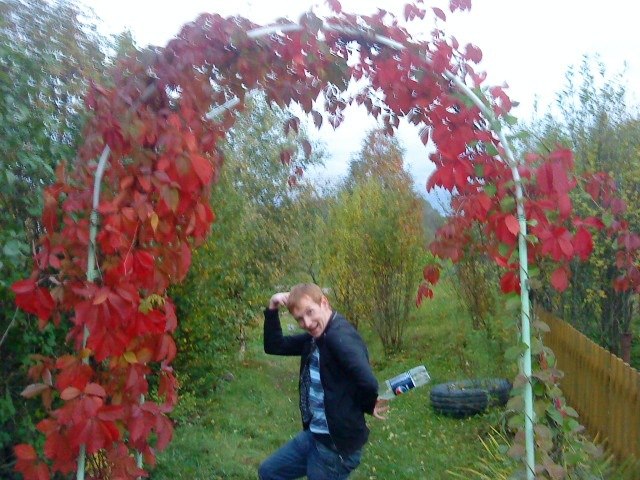 Артем Павлов | Санкт-Петербург