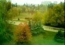 Фотография Борбели Дианы