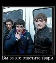 Фотография Субхан Мамедов