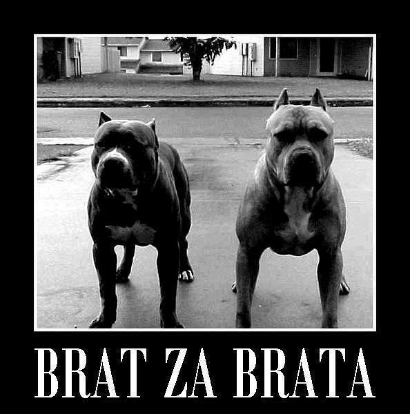 Егор Байкалов ((((Чипесыч)))) | Санкт-Петербург