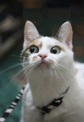 Егор Пономарев | Мурманск