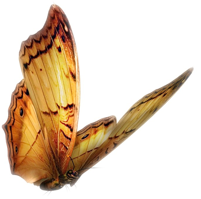 Ярослав Курлянчиков EnigmA_MaN | Славянск-на-Кубани