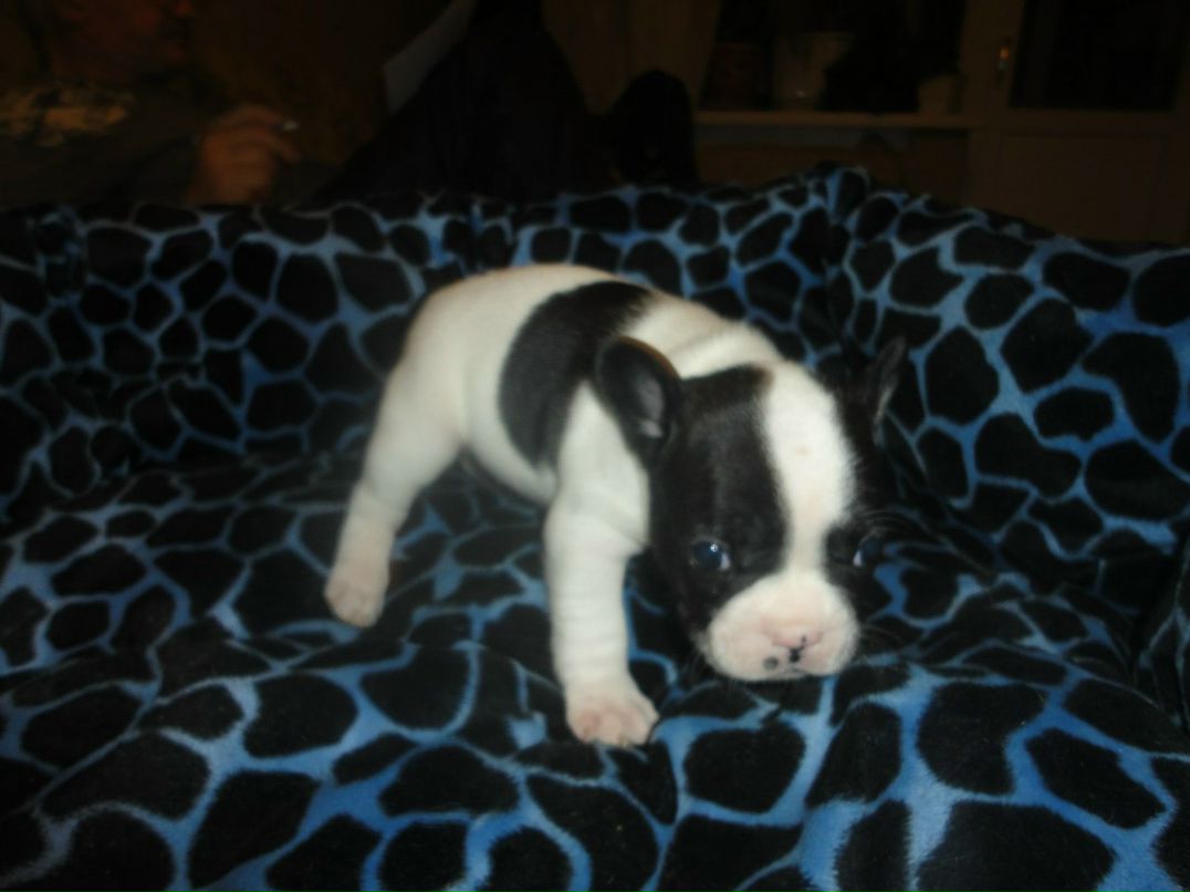 Александр Цап | Харьков