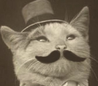 Александр Шушанидзе Шум | Санкт-Петербург