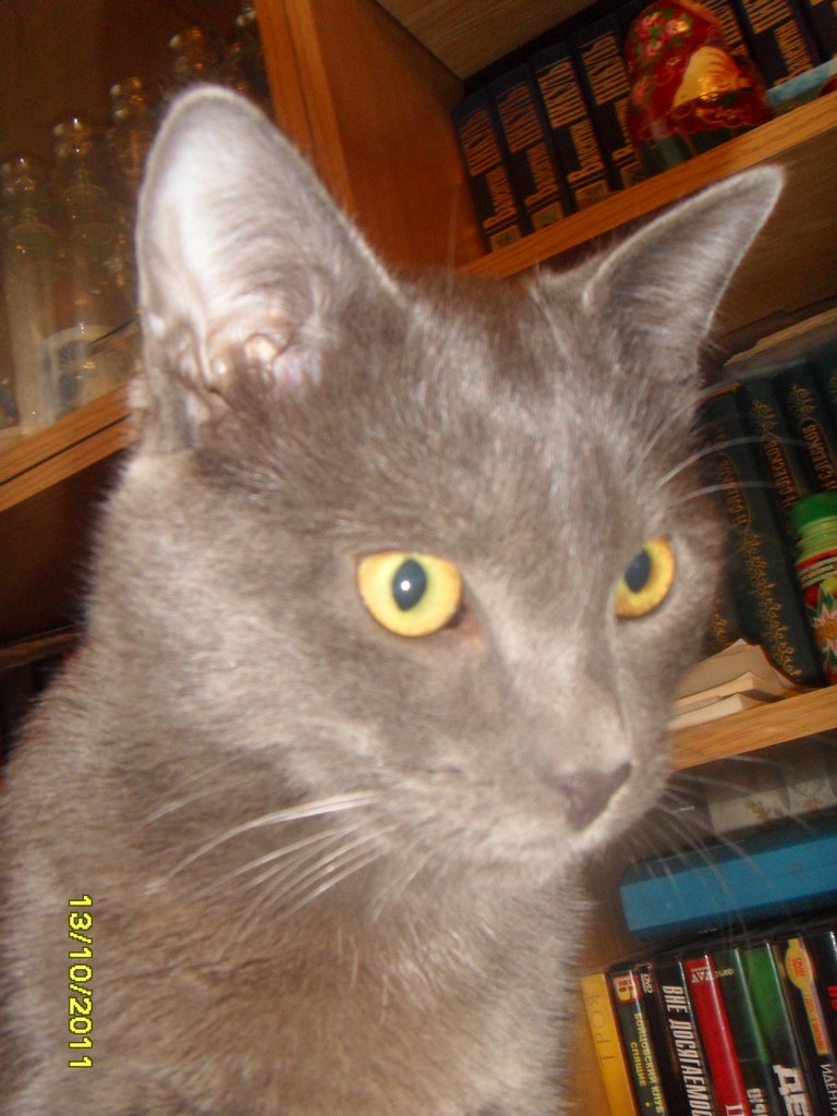 Инна Логачева | Санкт-Петербург